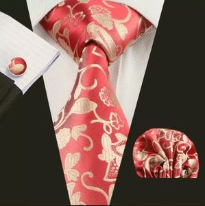 Men Neckties Sets
